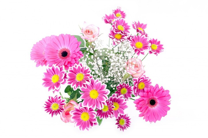 Blomster Blomster